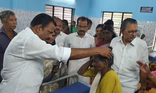 തൊഴിലുറപ്പ് ജോലിക്കിടെ 13 പേർക്ക് കടന്നല്‍ കുത്തേറ്റു; രണ്ടുപേർക്ക് ഗുരുതര പരിക്ക്