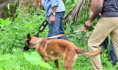 എരഞ്ഞോളി സ്ഫോടനം: സീനയുടെ മൊഴിയെടുത്തു