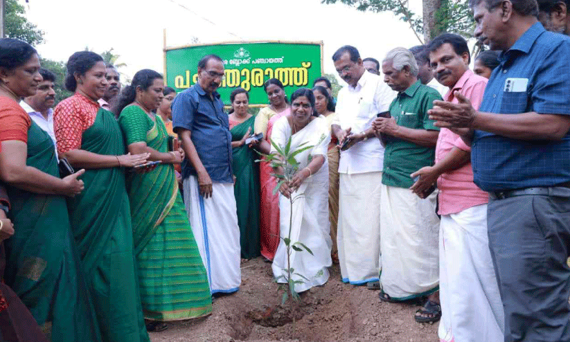 Pachathuruth project