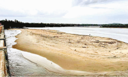 Sand dunes near Kadalundikadav Bridge