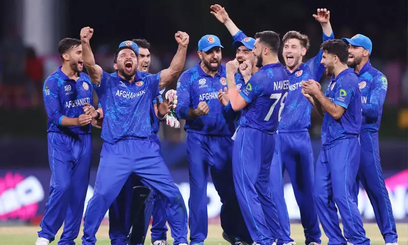 afgan 8798 afgan 8798