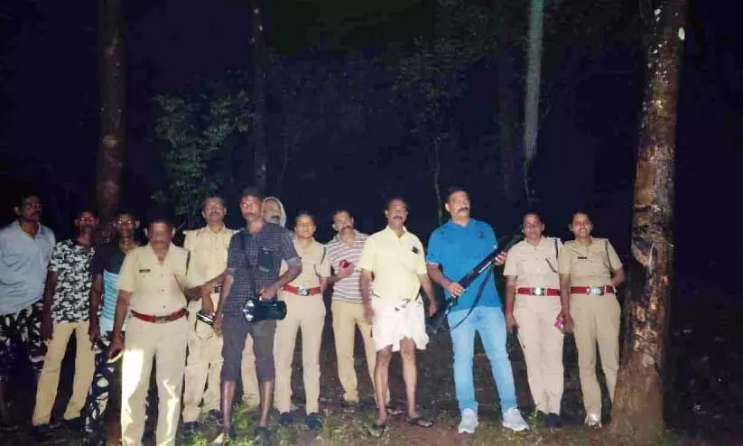 wild animal attack wild animal attack