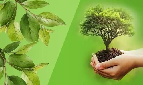 Nature Conservation Day