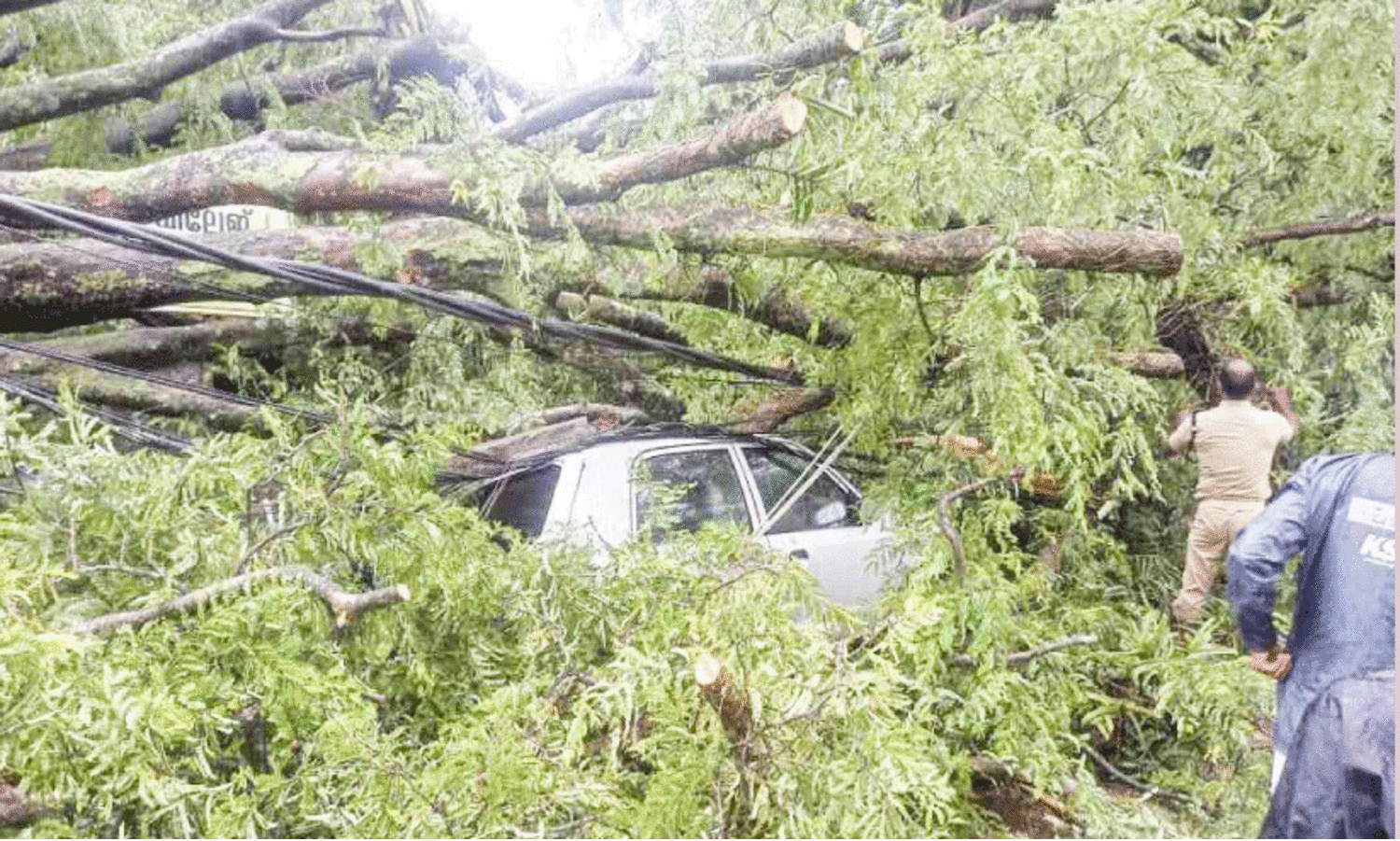 മഴയിൽ കനത്ത നാശം