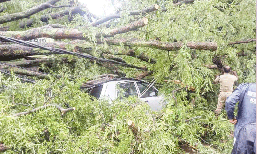 മഴയിൽ കനത്ത നാശം മഴയിൽ കനത്ത നാശം