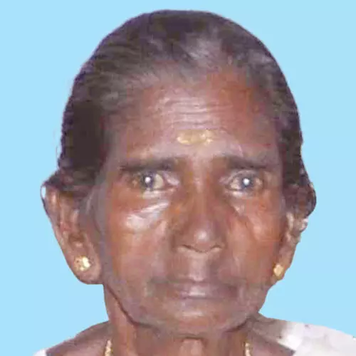 കാ​ളു​ക്കു​ട്ടി