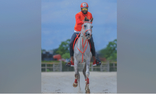 Sheikh Nasser Bin Hamad Al Khalifa
