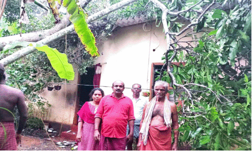 കാറ്റ്​, മഴ: ആലപ്പുഴയിൽ വ്യാപക നാശനഷ്ടം