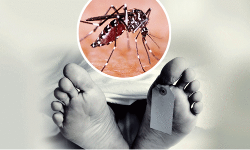Dengue death