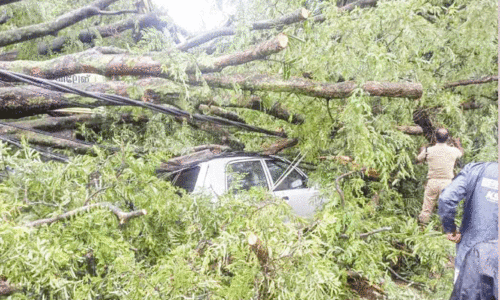 മഴയിൽ കനത്ത നാശം