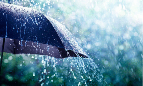 കാറ്റിലും മഴയിലും വ്യാപക നഷ്ടം; പന്തളത്ത് റോഡുകളിലേക്ക് മരം വീണു കാറ്റിലും മഴയിലും വ്യാപക നഷ്ടം; പന്തളത്ത് റോഡുകളിലേക്ക് മരം വീണു