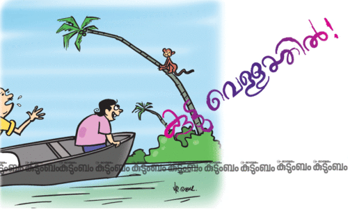 കുട്ടിക്കഥ: കുട്ടു വെള്ളത്തിൽ