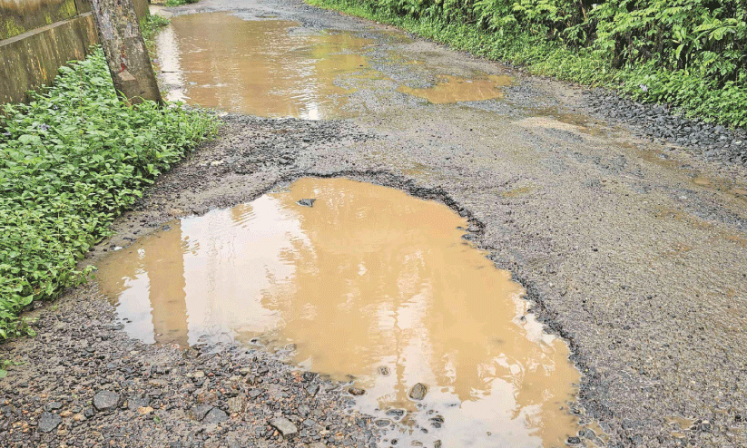 waterlogging waterlogging