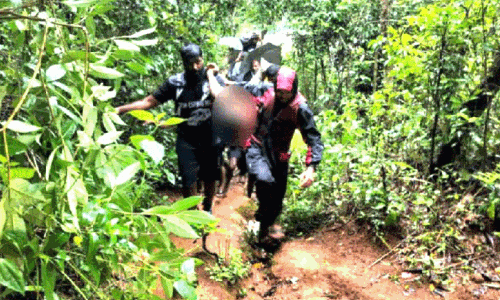 Abbey Falls accident