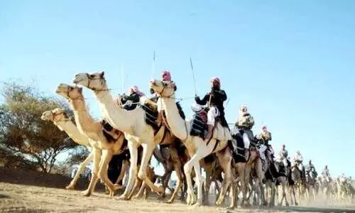 World Camel Day