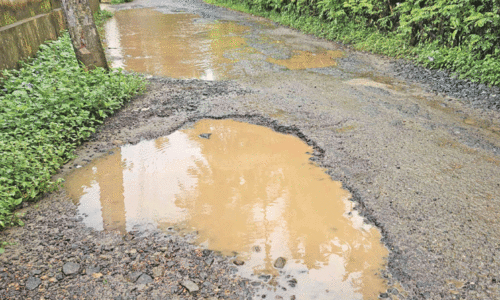 waterlogging waterlogging