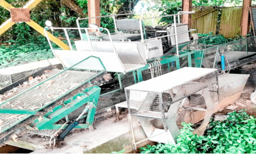 Legal Services Authority,