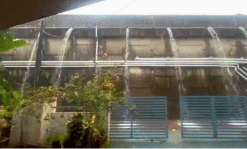 waterlogging waterlogging