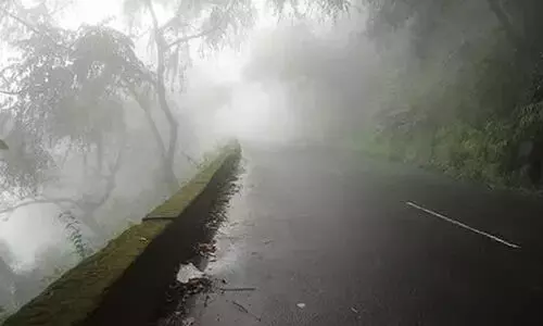 മഴ: വയനാട്ടിലെ വിനോദ സഞ്ചാര കേന്ദ്രങ്ങളിൽ നാളെ പൊതുജനങ്ങളെ പ്രവേശിപ്പിക്കില്ല