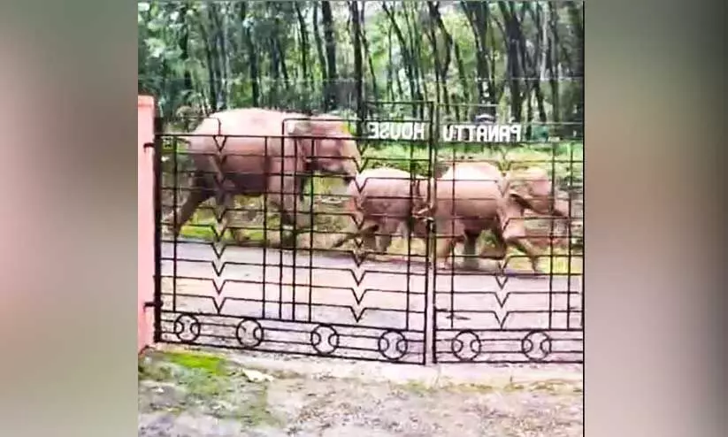 muvattupuzha muvattupuzha