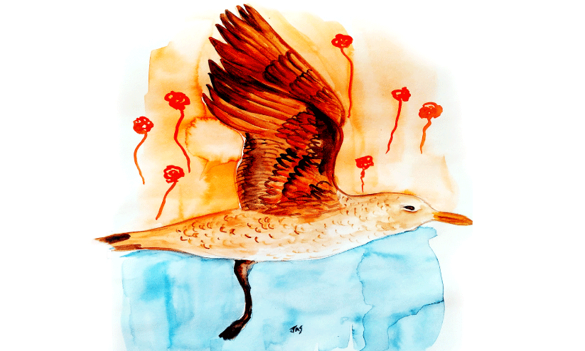 ക്രി​​മി​​ന​​ൽ താ​​മ​​സി​​ച്ചി​​രു​​ന്ന വീ​​ട്