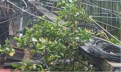 വൈ​ദ്യു​തി പോ​സ്റ്റ്