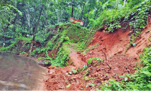 rain damages rain damages