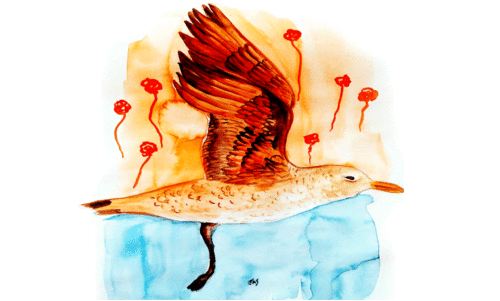 ക്രി​​മി​​ന​​ൽ താ​​മ​​സി​​ച്ചി​​രു​​ന്ന വീ​​ട്