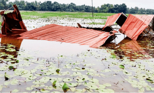 rain damages rain damages