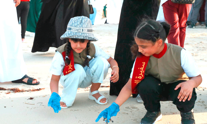 sea turtles are released