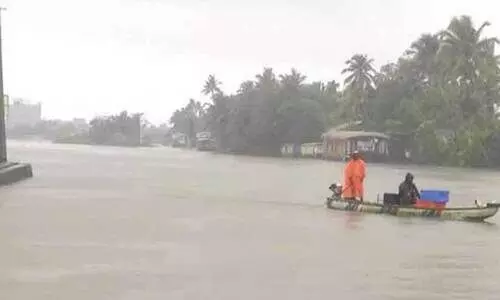 kuttanad kuttanad