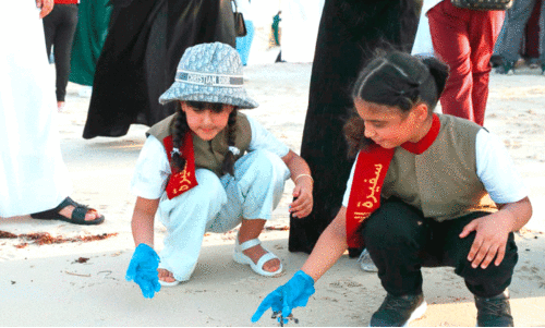 sea turtles are released