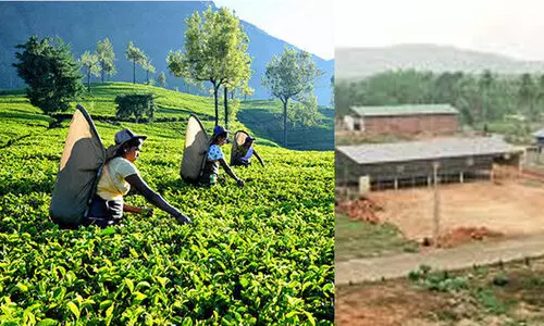 വീട് വെക്കാൻ അഞ്ചും പത്തും സെൻറ് തോട്ടഭൂമി വാങ്ങിയവരെ സംരക്ഷിക്കാൻ നിയമനിർമാണം നടത്തണമെന്ന് ആവശ്യം