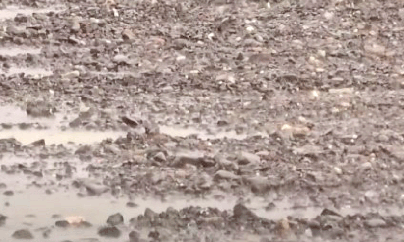 U.A.E Rain U.A.E Rain