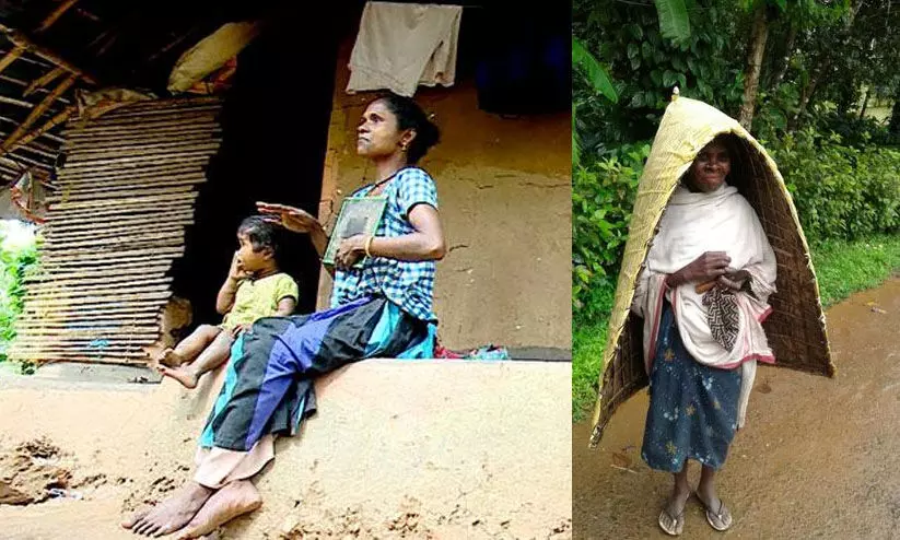 വൈദ്യുതി ബിൽ അടക്കാൻ പണമില്ല; വയനാട്ടിൽ 1514 പട്ടികവർഗ കുടുംബങ്ങൾ ഇരുട്ടിൽ വൈദ്യുതി ബിൽ അടക്കാൻ പണമില്ല; വയനാട്ടിൽ 1514 പട്ടികവർഗ കുടുംബങ്ങൾ ഇരുട്ടിൽ