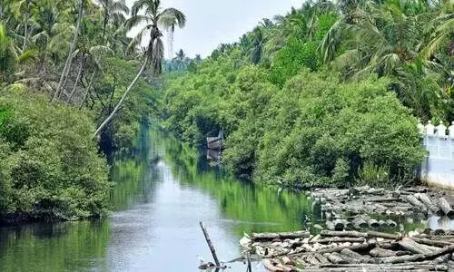 kallayipuzha kallayipuzha