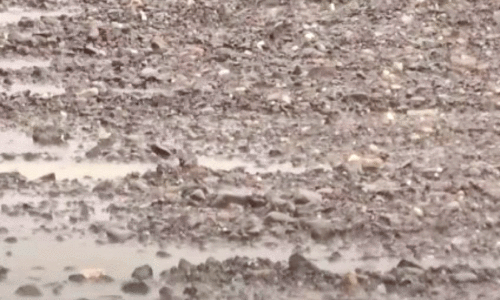 U.A.E Rain U.A.E Rain