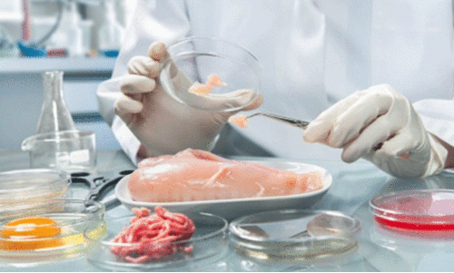 food security food security