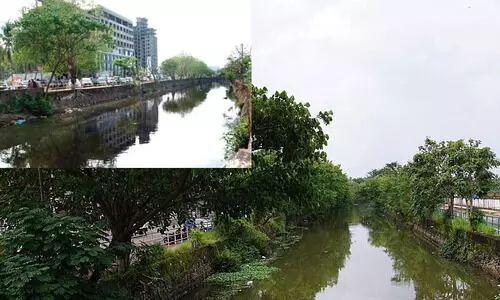 കനോലി കനാലിന്റെ വികസനത്തിനായി പ്രാഥമിക ഡി.പി.ആർ തയാറാക്കിയെന്ന് മുഖ്യമന്ത്രി