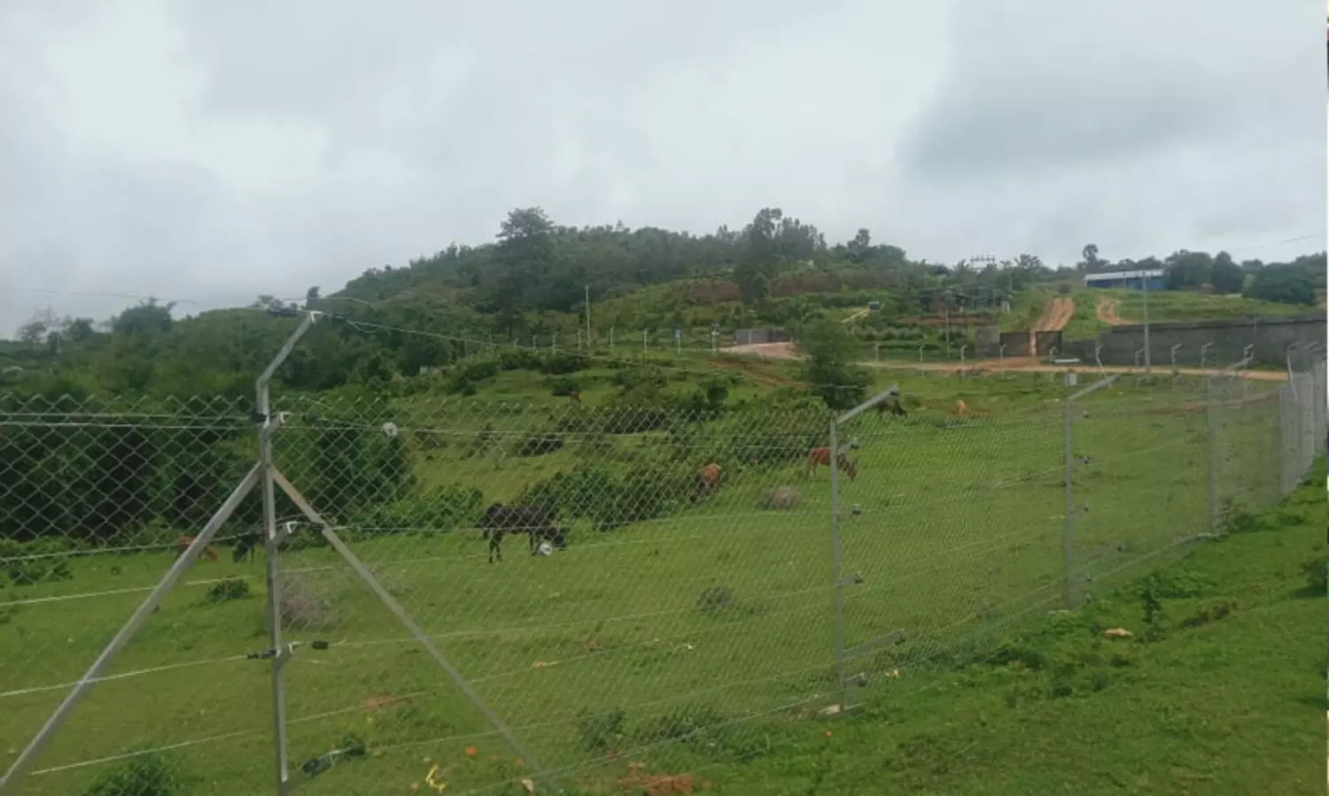 ആദിവാസി ഭൂമി കൈയേറ്റം: അട്ടപ്പാടി സന്ദർശിച്ച് വസ്തുതാന്വേഷണം നടത്തുമെന്ന് ഹ്യൂമൻ റൈറ്റ്സ് മൂവ്മെന്റ്