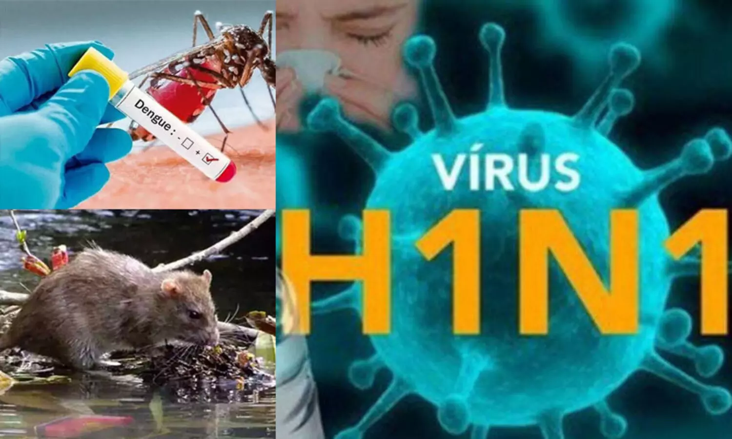 പനി: ജാഗ്രത പാലിക്കണമെന്ന് മെഡിക്കൽ ഓഫീസർ