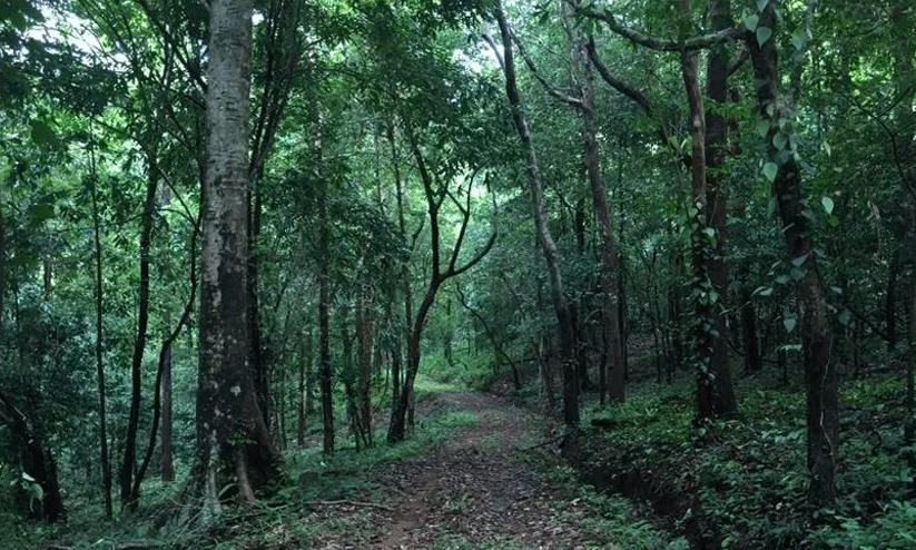 aralam farm aralam farm