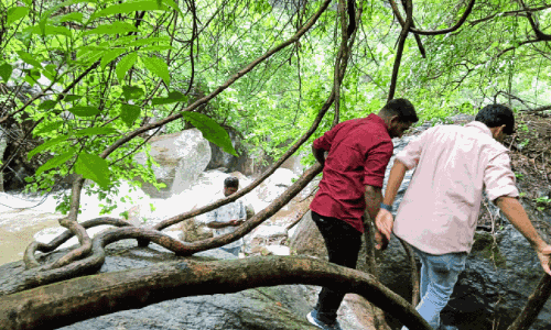 Waterfalls control, Waterfalls control,