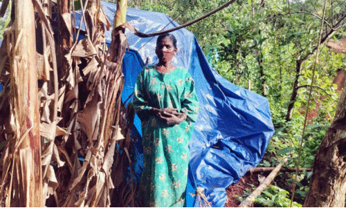 ടാ​ർ​പോ​ളി​ൻ ഷീ​റ്റു​കെ​ട്ടി താ​മ​സി​ക്കു​ന്ന കു​ടും​ബം