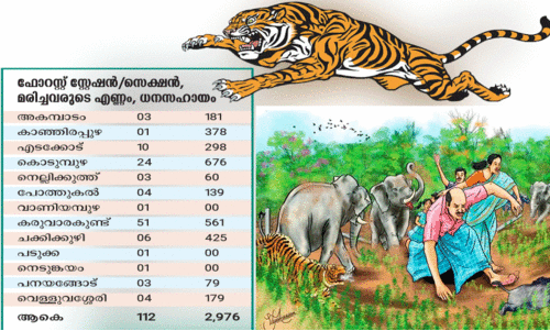 Wild animal attack Wild animal attack