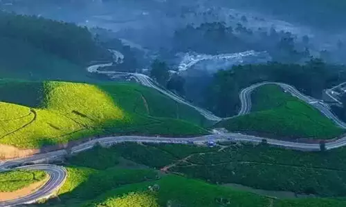 ഇടുക്കിയിൽ വനത്തിലെ റോഡുകളും വനം തന്നെയെന്ന് മൂന്നാർ ഡി.എഫ്​.ഒ; യോഗം വിളിച്ച് ചീഫ്​ സെക്രട്ടറി