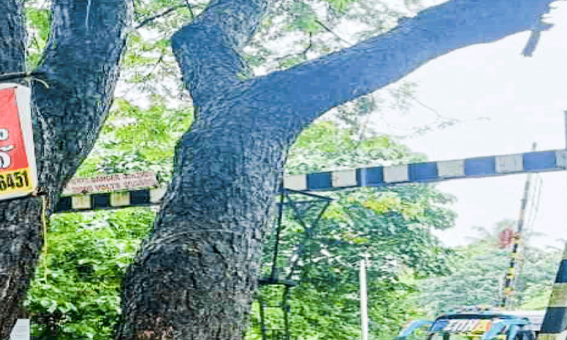 Kottakkadav-Chettipadi route