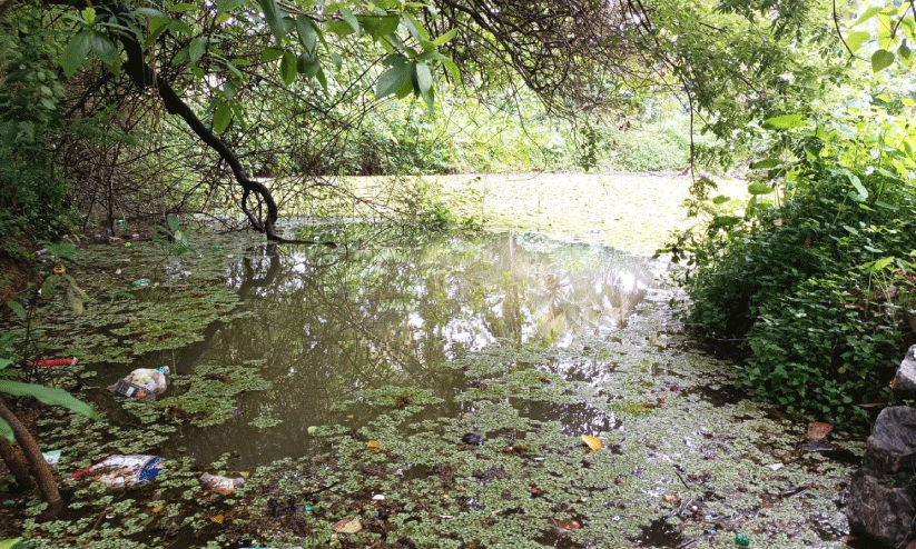 മൊഗ്രാൽ കാടിയംകുളം മൊഗ്രാൽ കാടിയംകുളം
