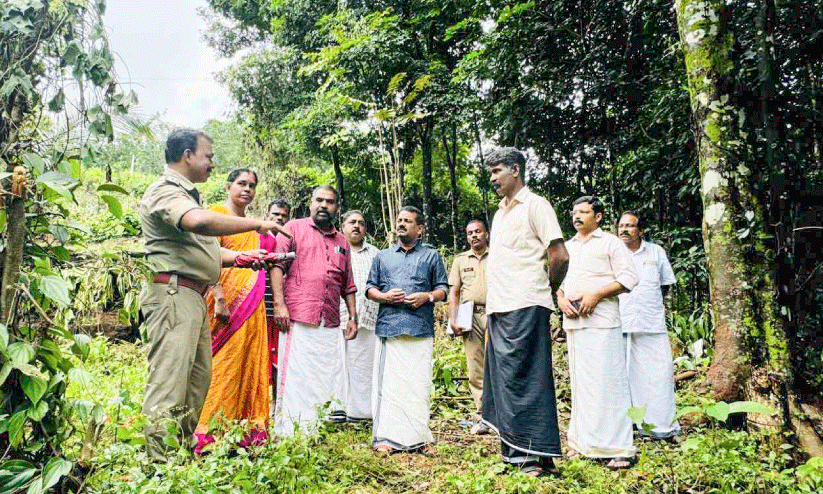 Garden forest, Garden forest,