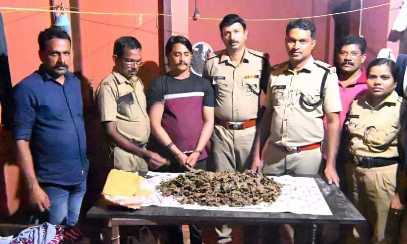 2.5 കിലോ കഞ്ചാവുമായി ഝാര്ഖണ്ഡ് സ്വദേശി പാലായില് പിടിയില് 2.5 കിലോ കഞ്ചാവുമായി ഝാര്ഖണ്ഡ് സ്വദേശി പാലായില് പിടിയില്